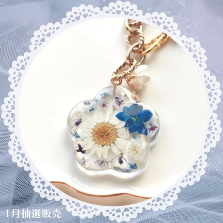 【70】sold out