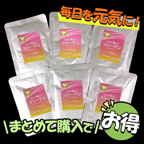 【毎日を元気に!】はかた地どりコラーゲン（6パック入り）
