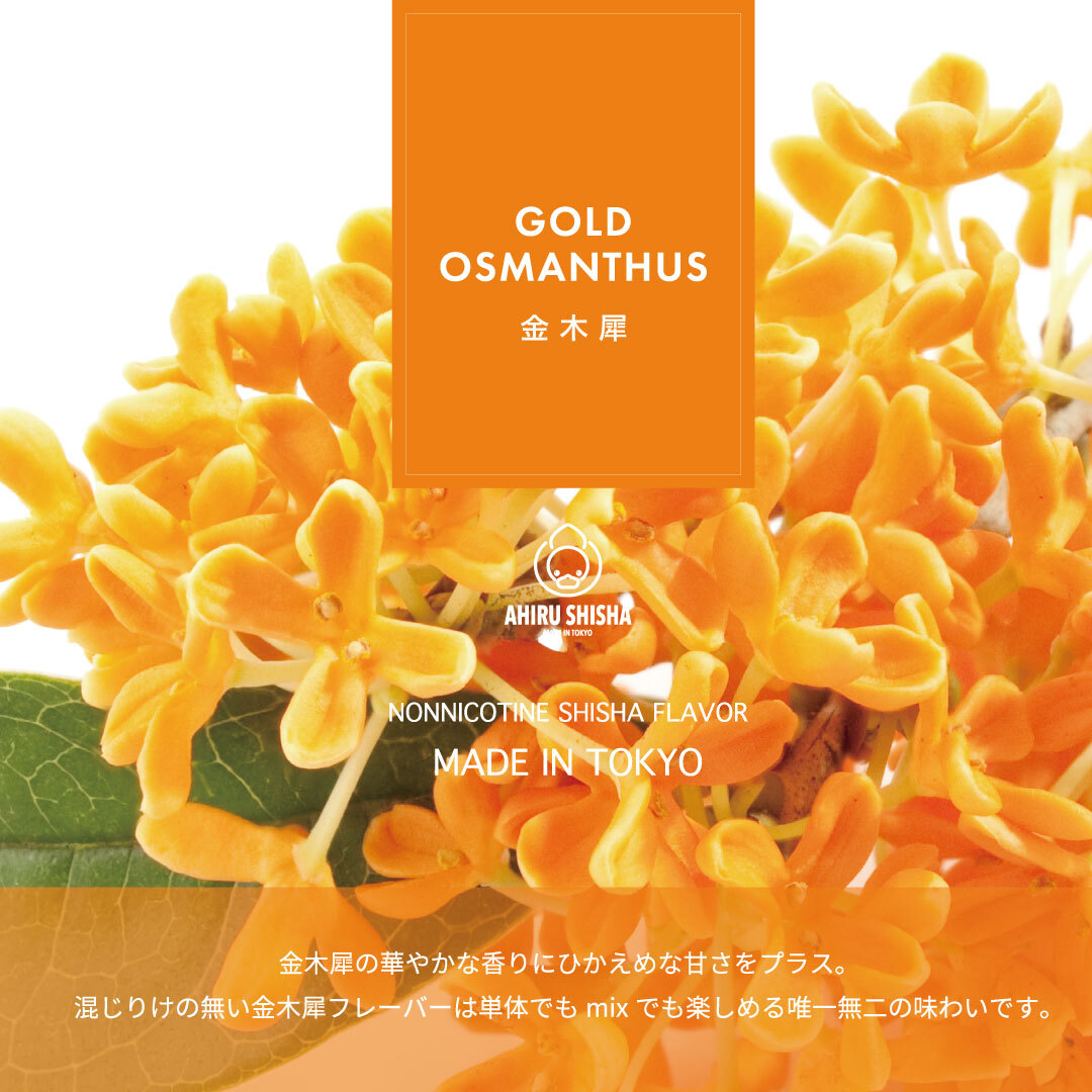 金木犀＜Fragrant olive＞ | Ahiru Shisha