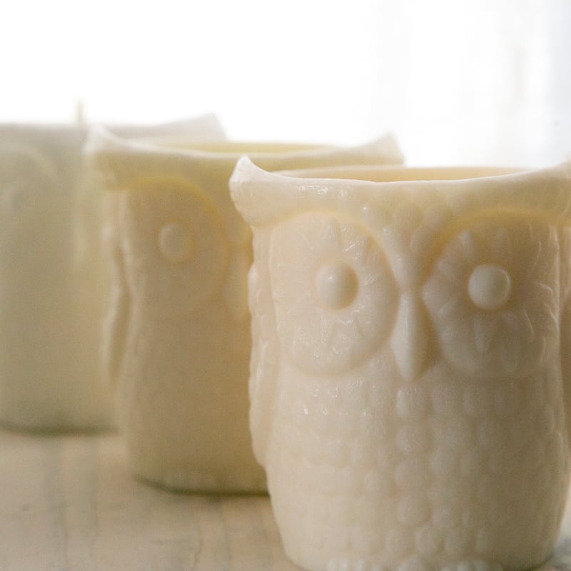 森の動物たち-フクロウ】soywax | 1/fnocoto