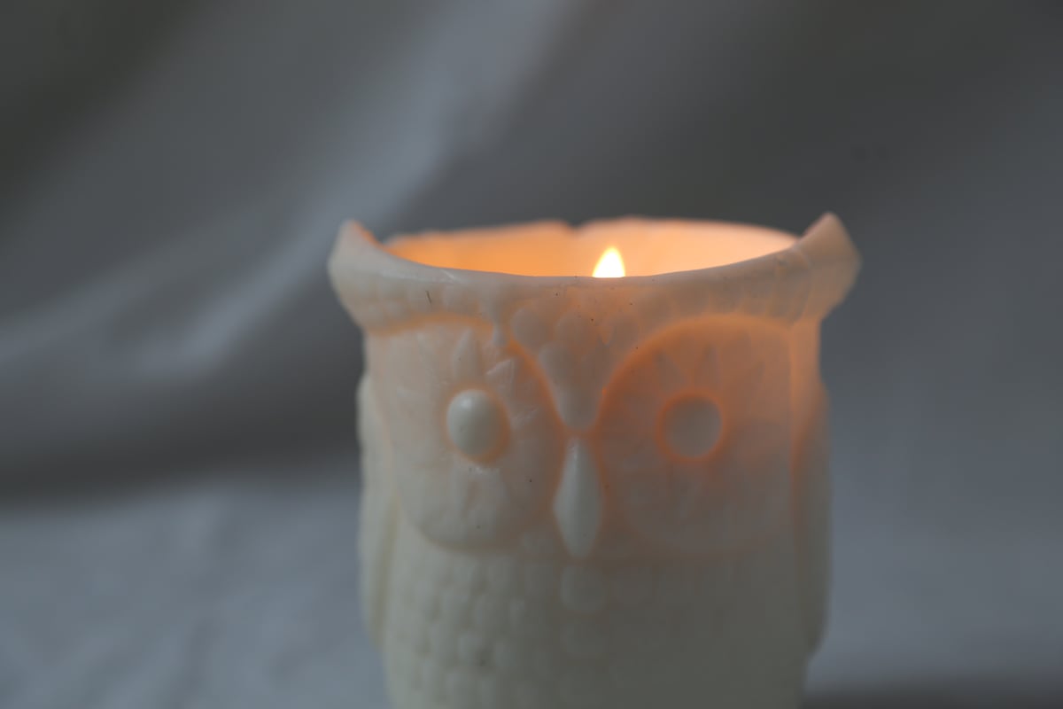 森の動物たち-フクロウ】 palm wax | 1/fnocoto