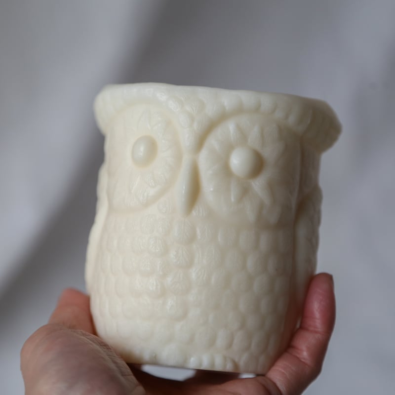 森のフクロウ 森のフクロウ S｜モンベル