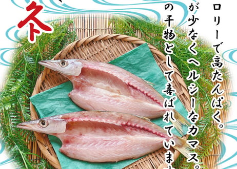 開きカマス　1kg　セット