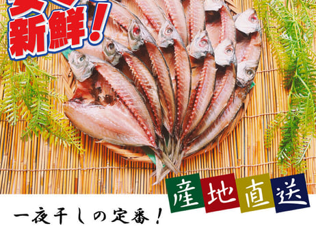 開きアジ　1kg　セット