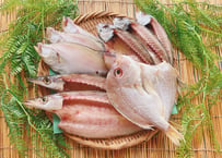 えてカレイ 　開きアジ　レンコ鯛　カマス　干物　セット
