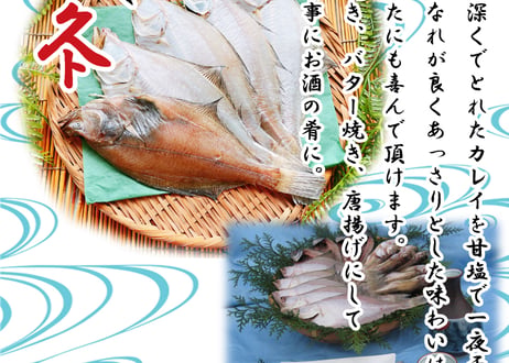 えてカレイ　開きアジ　レンコ鯛　真イワシorうるめイワシ丸干し　セット