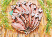 開きアジ　1kg　セット