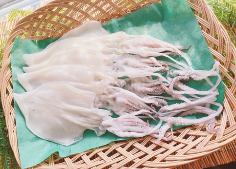 白いか　500g　セット