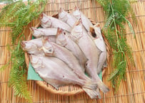 えてカレイ　1kg　セット