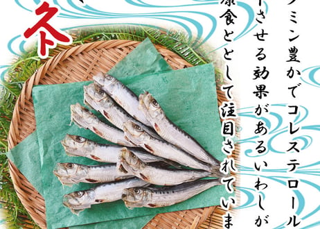 えてカレイ　開きアジ　レンコ鯛　真いわしorうるめイワシ丸干し　セット
