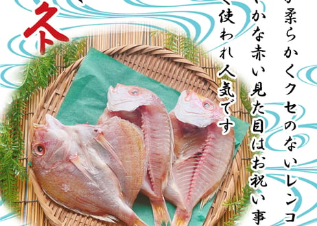 えてカレイ　開きアジ　レンコ鯛　沖キス　セット