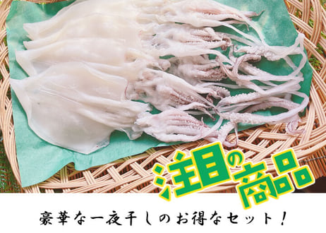 白いか　500g　セット