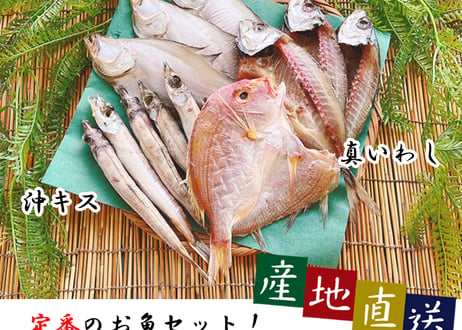 えてカレイ　開きアジ　レンコ鯛　沖キス　セット