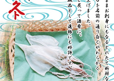 白いか　500g　セット