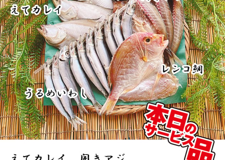 えてカレイ　開きアジ　レンコ鯛　真イワシorうるめイワシ丸干し　セット