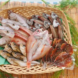 ㈲久ト商店