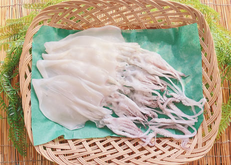 白いか　500g　セット