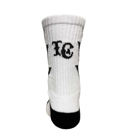 LxC collaboration SOCKS(2PACK)