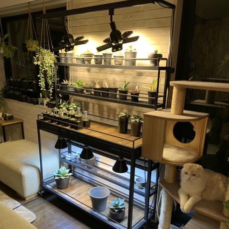 Botanaize Shelf 植物棚　【Ntype2】 W1200mm