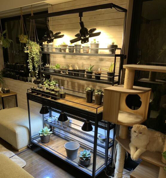 ニャオン様 植物棚オーダーページ Botanaize Shelf 植物棚 【Ntype2】 W1200mm | LIZEWORK