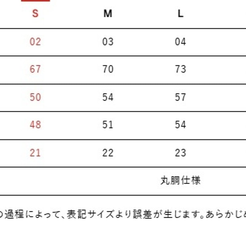 LIZEWORKS x CAMILLO collaboration Tshirt【BLACK】