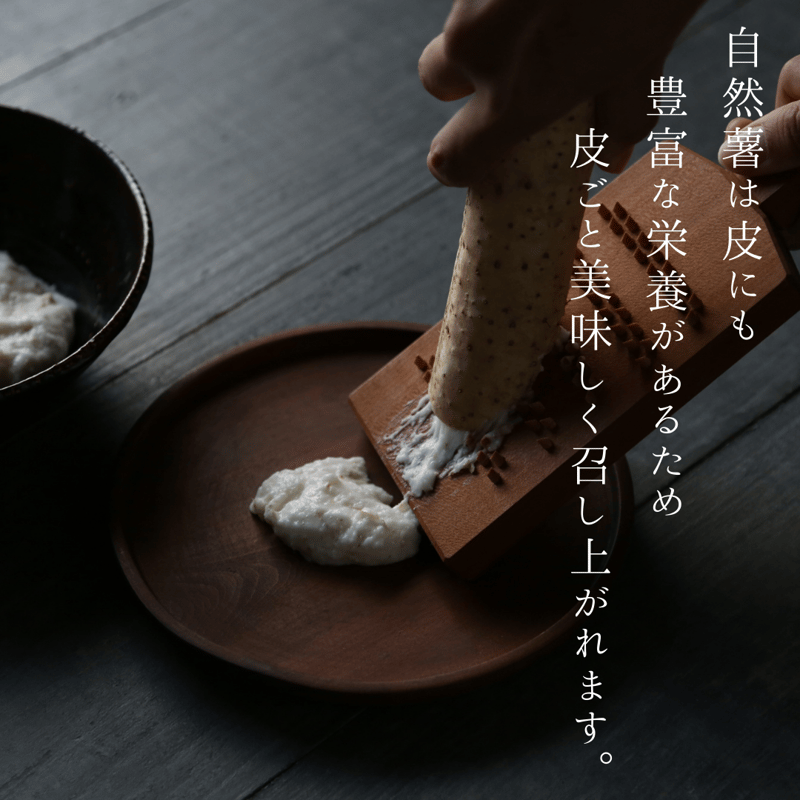 自然薯 飛鳥自然薯❝一白 IPPAKU❞700g以上1本～2本入り【発送前掘り上げ