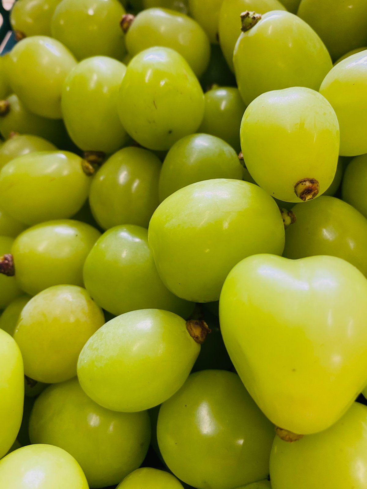 123バラ・２ｋｇクール便発送・訳ありシャインマスカット！ クール便 山梨県産 ぶどう シャインマスカット 2kg - メルカリ