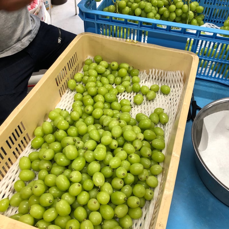 朝どれ☆クール便☆粒バラ売りシャインマスカット2kg✳︎量り売り