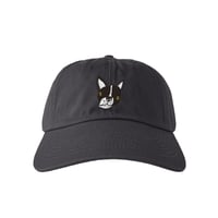 Boston terrier  /  CAP  -  チャコール