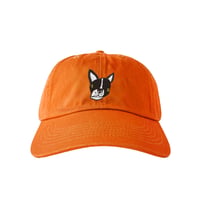 Boston terrier  /  CAP  -  オレンジ