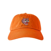 Tiger Punch pink  /  CAP  -  オレンジ