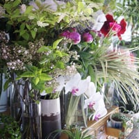 季節の草花定期便　お手軽コース
