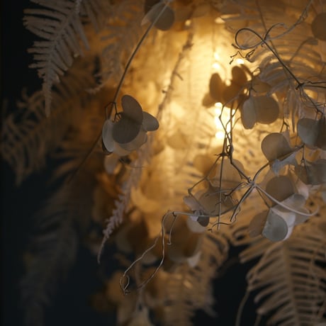 lumière douce　【Dry　Flower】