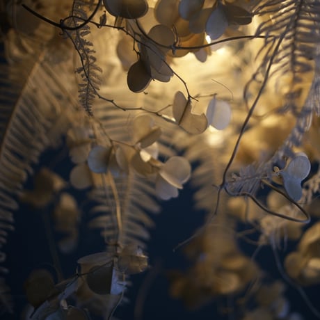 lumière douce　【Dry　Flower】