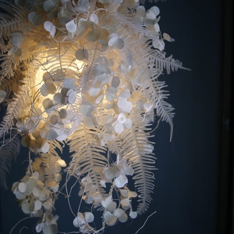 lumière douce　【Dry　Flower】