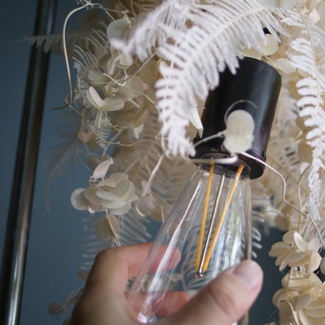 lumière douce　【Dry　Flower】