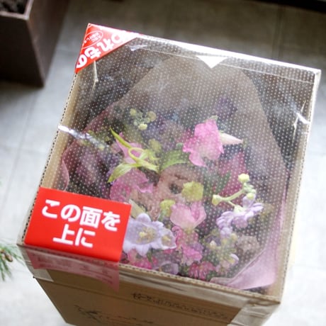季節の草花定期便　標準コース