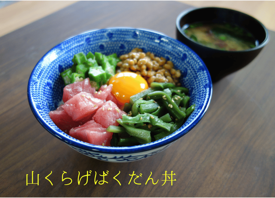 山くらげ90g おまとめ買い（10袋入） | ミクロショップ