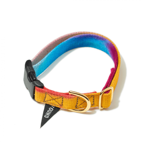 Webbing Cat & Dog Collar【 PRISMATIC 】