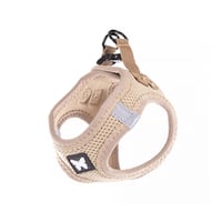 Butterfly Harness【 ゴールド 】