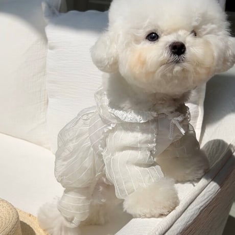 【SICGGU】Lily bug all-in-one