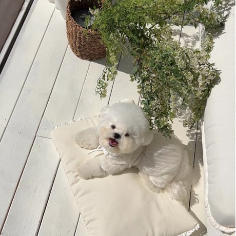 【SICGGU】Lily bug all-in-one