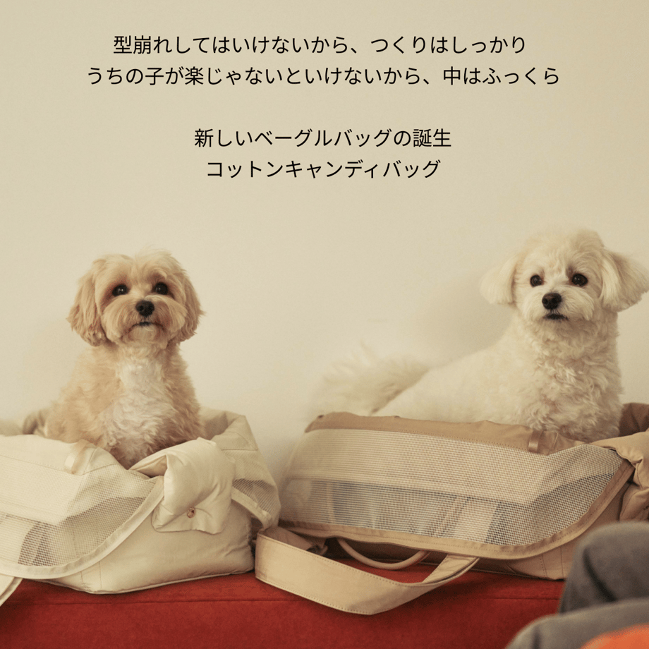682c8e36dda6735a8935e976