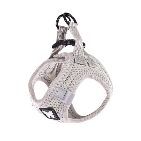 Butterfly Harness【 シルバー 】