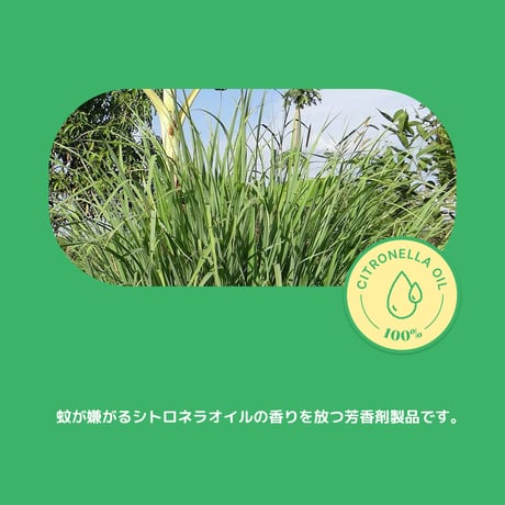 【BITE ME】ヘイトミーパッチ（8シール×3枚＝24シール入り）