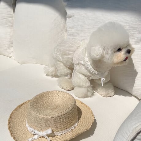 【SICGGU】Lily bug all-in-one