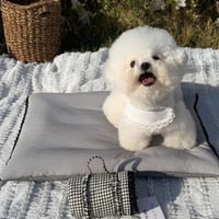 【SICGGU】Black Ice Cushion（アイスクッション）