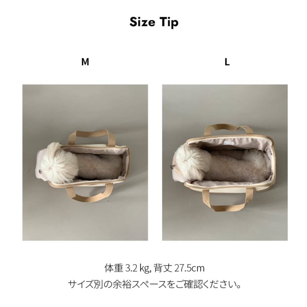 CANVAS CARRY BAG【 BEIGE 】 | mon