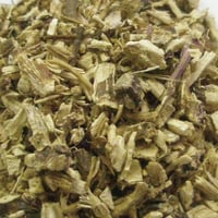 エキナセア ルート カット オーガニック ハーブティ20g