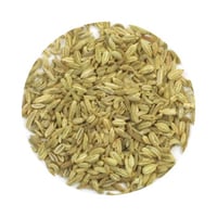 スイートフェンネル（ウイキョウ） – 甘い風味の健胃剤